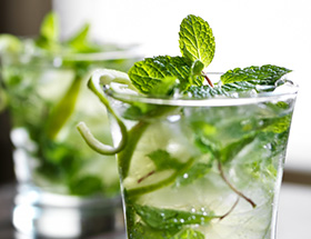 A refreshing mojito